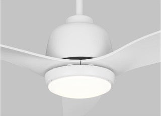 Avila Coastal 54 in. Integrated LED Indoor/Outdoor Ceiling Fan with Light Kit, Remote Control and Reversible Motor