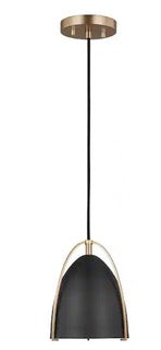 Norman 1-Light Hanging Mini Pendant Light in Matte White or Satin Black