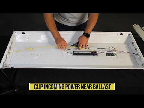 32-Watt Equivalent 12-Watt 4 ft. Linear Non-Dimmable T8 LED Bypass (Type B) Tube Double Ended Light Bulb (25-Pack)